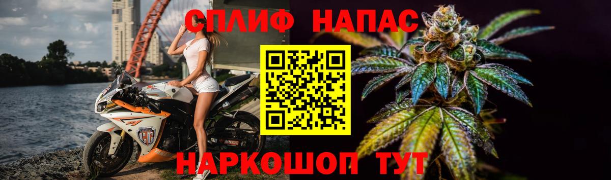Конопля гибрид Апрелевка
